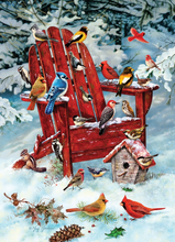 Load image into Gallery viewer, Adirondack Birds 1000pc Jigsaw Puzzle!
