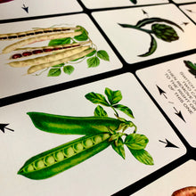 Load image into Gallery viewer, Harvesting 12 - Puzzle Card Game