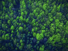 Load image into Gallery viewer, Natural Forest - Impuzzible No. 23 - 1000pc Jigsaw Puzzle!