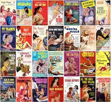 Load image into Gallery viewer, Vintage Adult Book Covers 1000pc Jigsaw Puzzle!