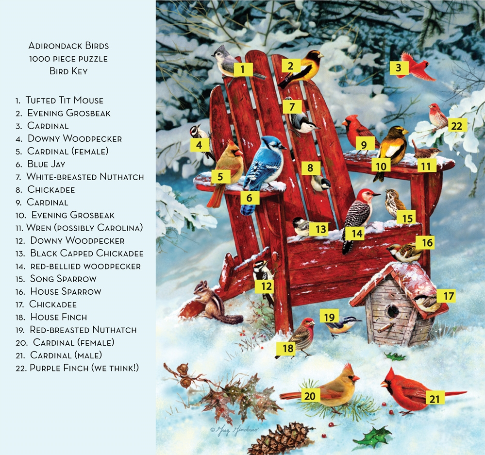 Cobble Hill Adirondack Birds Puzzle – 1000 Pieces, Nature-Themed, Colorful & Nostalgic Art For Family Fun 6 thumbnail image